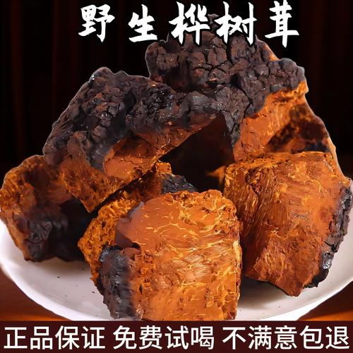 桦树茸什么样的最好最正宗?从外观到产地,手把手教你挑选优质桦树茸 一、正宗桦树茸的“出身”——必须生长在活体桦树上