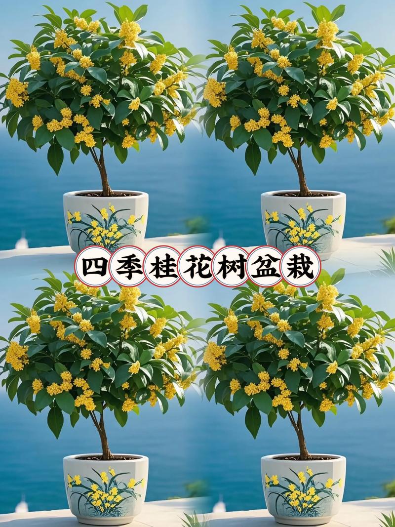 金桂花树苗多少钱一株?2025年价格参考与影响因素详解 数量:零售与批发的巨大鸿沟