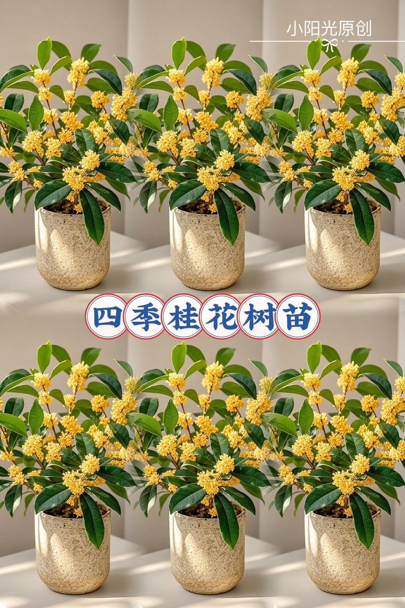 金桂花树苗多少钱一株?2025年价格参考与影响因素详解 各场景综合价格参考表