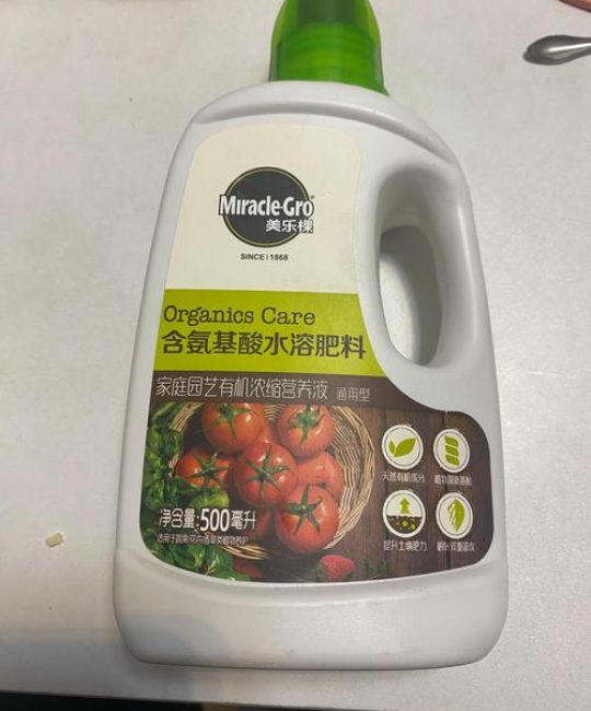 家庭园艺养护全攻略：通用肥料选择与六大核心管理技巧