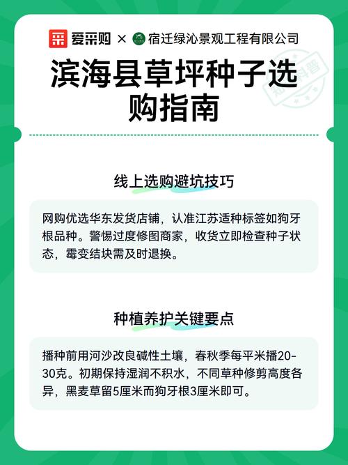 草种采购指南:如何科学选择靠谱的草种子供应商? 第五步:售后保障与书面约定