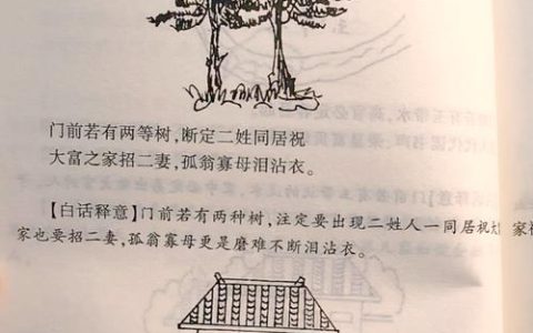 上坟栽树有什么讲究？清明祭祖植树的园艺指南与风水禁忌