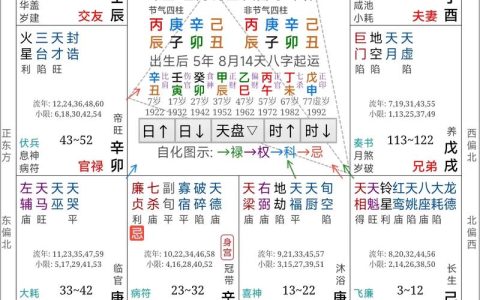 紫微斗数命盘有多少种？从命盘看园艺规划的智慧