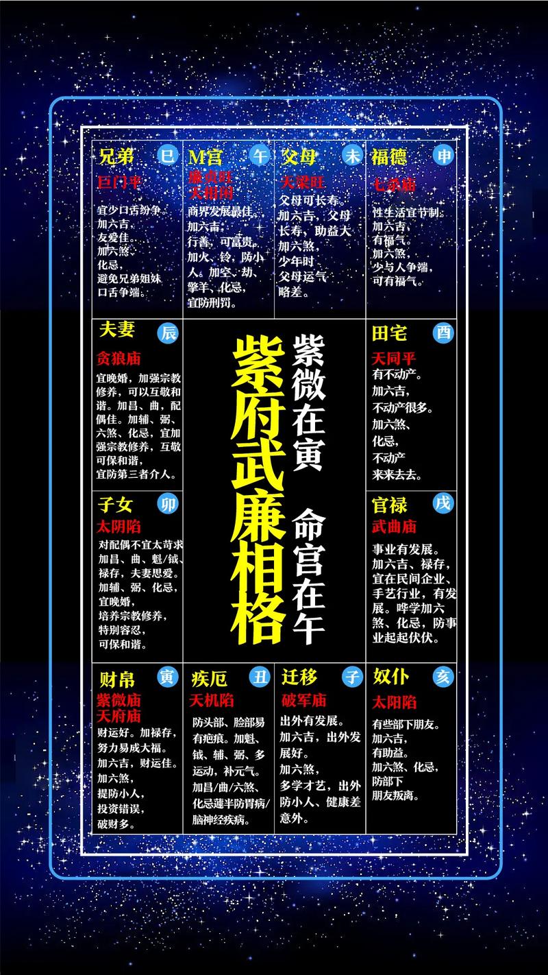 紫微斗数命盘有多少种?从命盘看园艺规划的智慧 从命盘种类到庭院分区