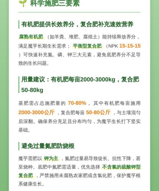 种植魔芋用什么肥最好？——从底肥到追肥的完整施肥指南