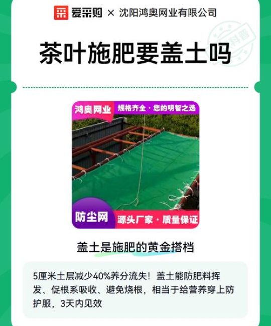 茶叶放土里能当肥料吗？家庭园艺养护全攻略：从施肥到换盆的实操全解