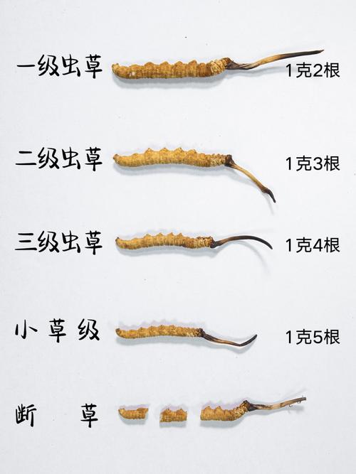 数量决定单根成本