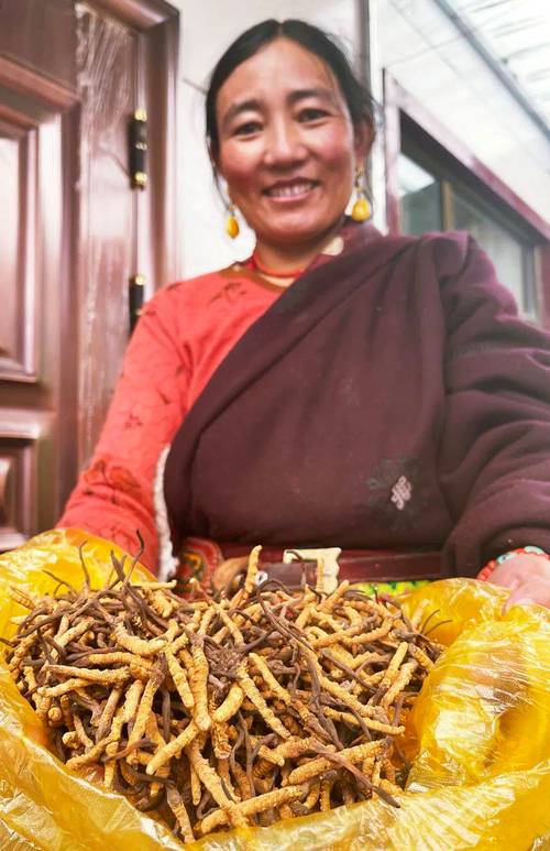 季节影响波动