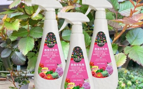 月季生虫自制杀虫水：家庭园艺安全有效的防治方案