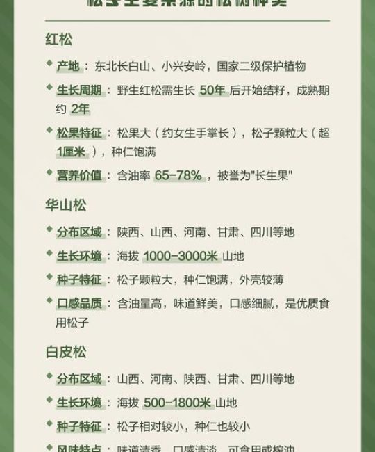所有松树都产松子吗？——从乔木园艺角度解析松树品种与松子关系