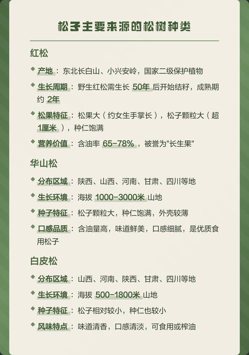 所有松树都产松子吗?——从乔木园艺角度解析松树品种与松子关系 不是所有松树都产松子