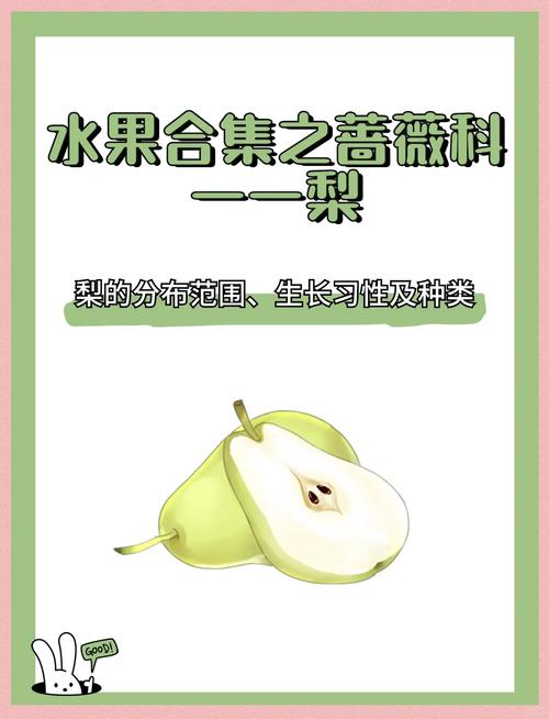 梨的种子怎么种?从选种到移栽全流程指南 三、栽前处理(种子催芽与消毒)