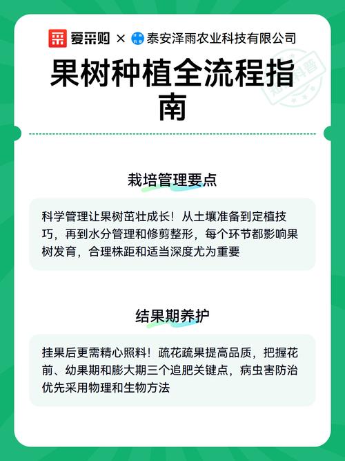 梨的种子怎么种?从选种到移栽全流程指南 六、缓苗管理(出苗期养护)