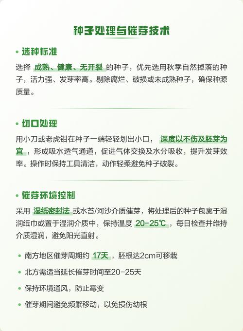 梨的种子怎么种?从选种到移栽全流程指南 七、成活注意事项(移栽前关键点)