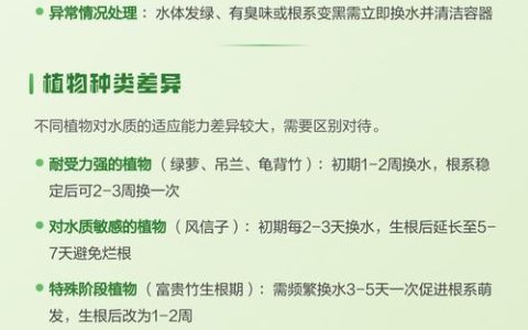 水培植物为什么要换水？与实操指南