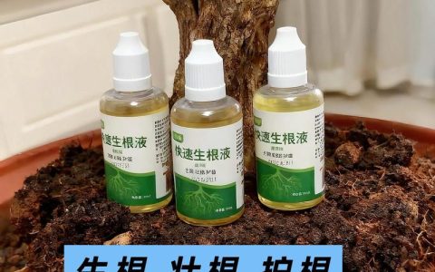 生根剂能和叶面肥一起用吗？混用技巧与注意事项