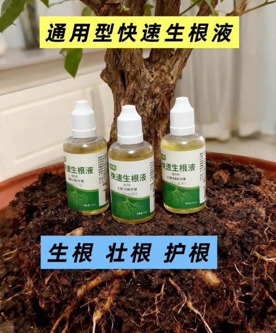 生根剂能和叶面肥一起用吗？混用技巧与注意事项
