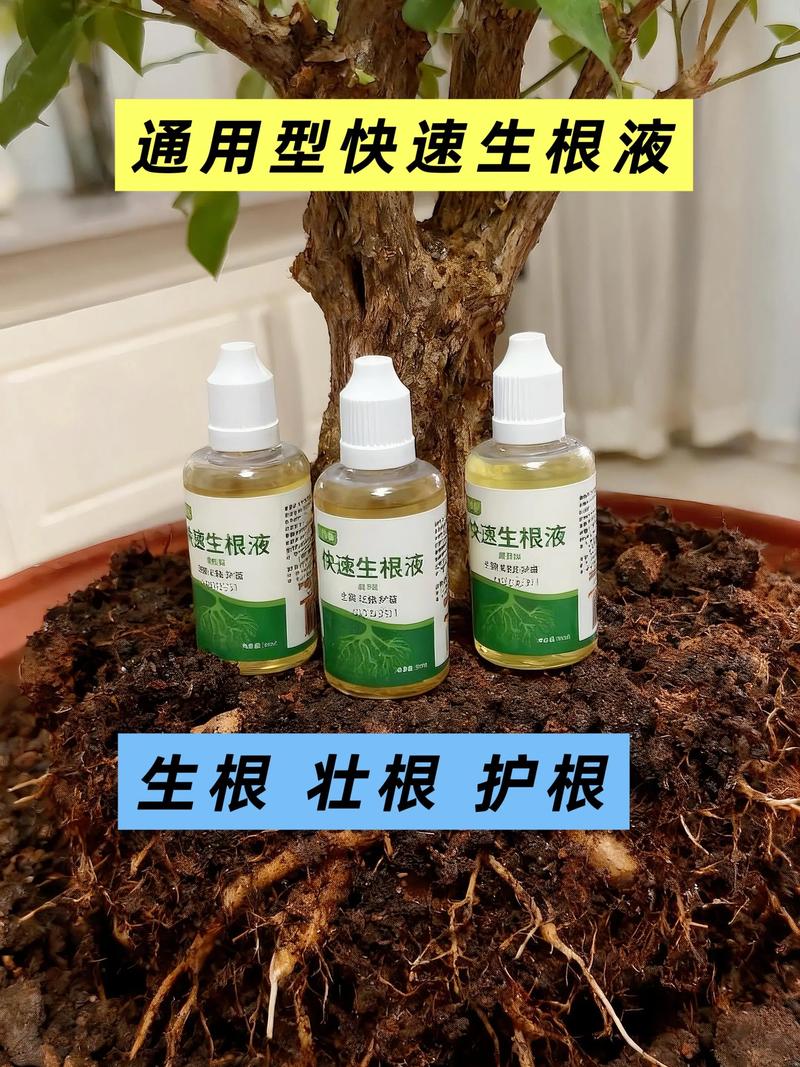 生根剂能和叶面肥一起用吗?混用技巧与注意事项 生根剂能和叶面肥一起用吗?混用技巧与注意事项