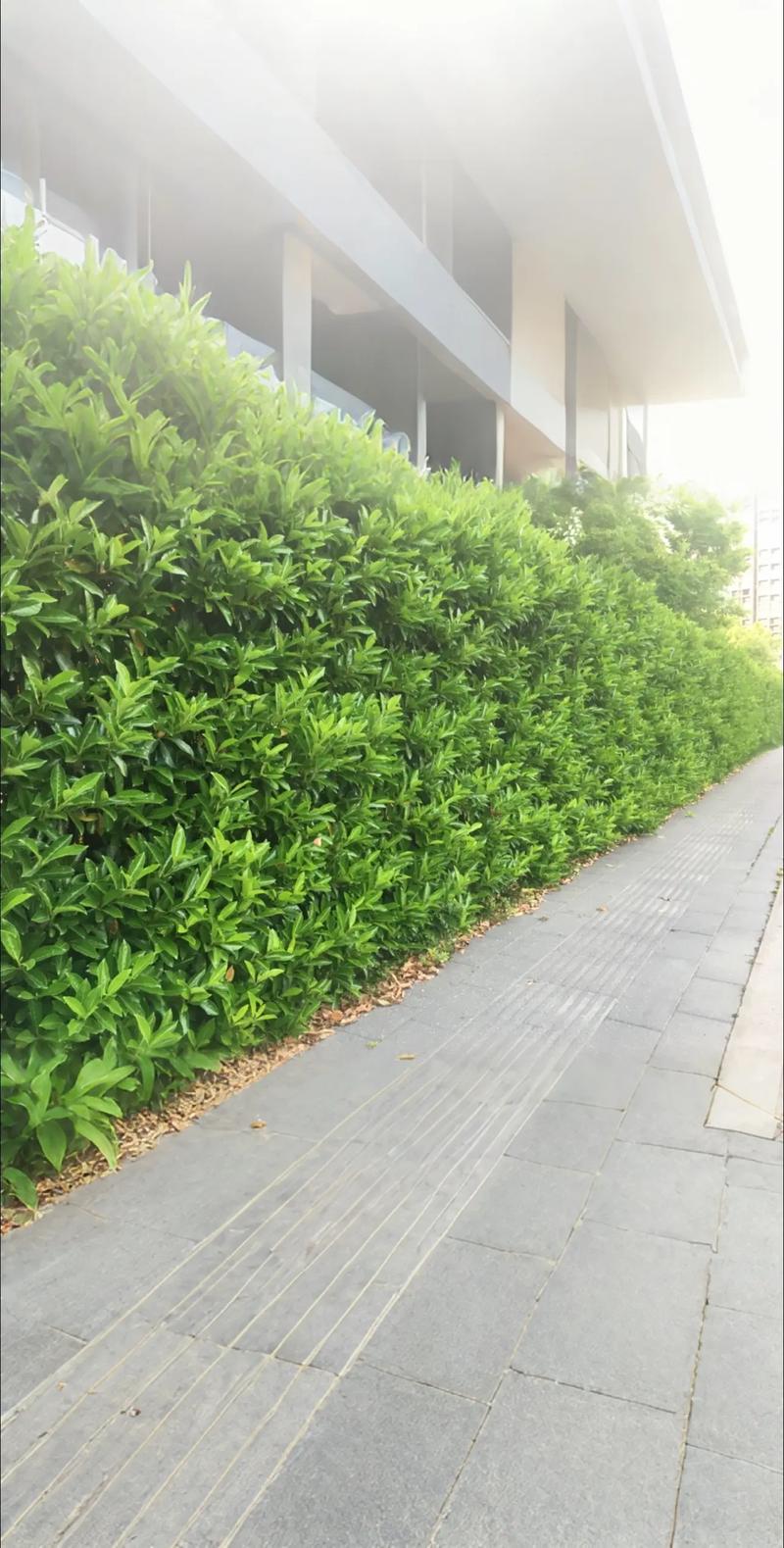 施工常见问题纠正