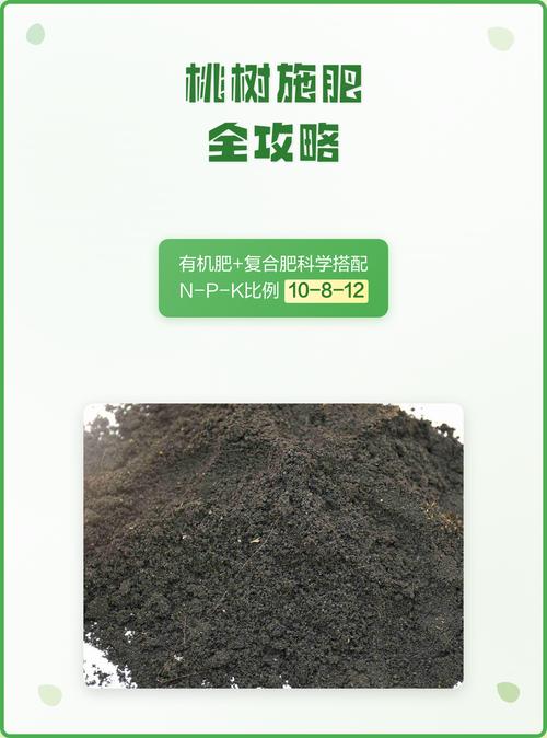 桃树春季施肥用什么肥料好?推荐高氮复合肥与有机肥搭配方案 越冬越夏:春季管理为夏季丰产打基础,注意防晚霜