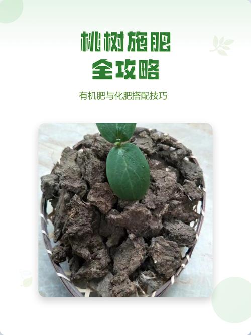 桃树春季施肥用什么肥料好?推荐高氮复合肥与有机肥搭配方案 田间管理:春季松土除草,配合施肥改善土壤环境