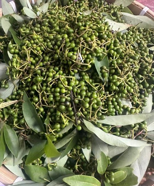 木姜子是花椒还是胡椒？一文教你彻底区分这三种“香料之王”
