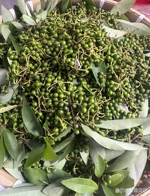 木姜子是花椒还是胡椒？一文教你彻底区分这三种“香料之王”