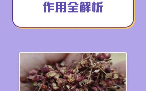花椒籽的功效与作用：榨油、助消化及食用安全性全解析