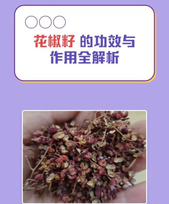 花椒籽的功效与作用：榨油、助消化及食用安全性全解析