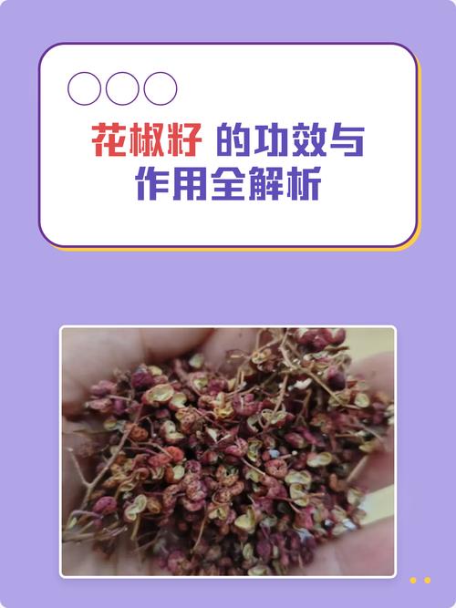 花椒籽的功效与作用：榨油、助消化及食用安全性全解析