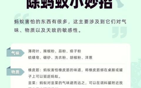 香椿树苗怎么消灭蚂蚁？这些方法安全又有效