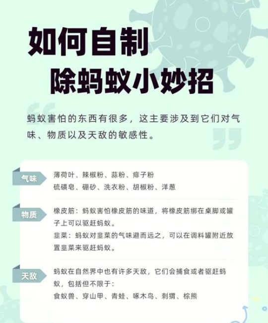香椿树苗怎么消灭蚂蚁？这些方法安全又有效