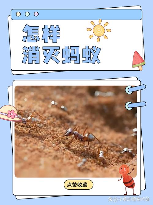 香椿树苗怎么消灭蚂蚁?这些方法安全又有效 四、生物与自然方法:绿色可持续
