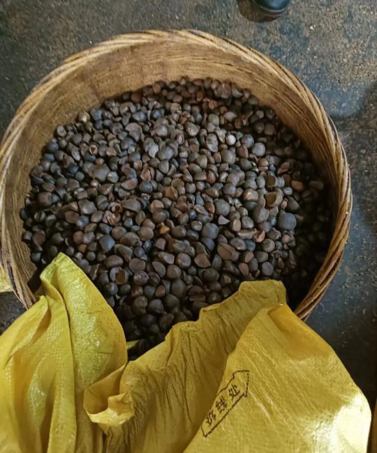 茶籽油多少钱一斤？产地、等级与采购量影响报价