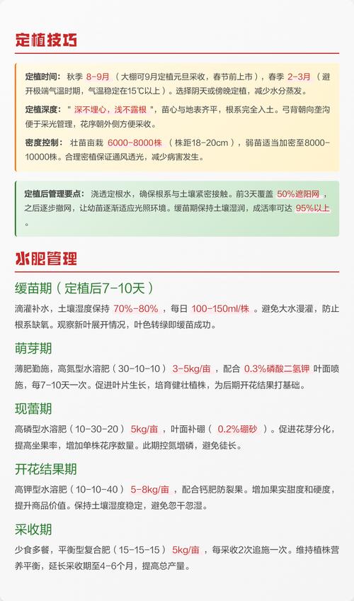 草莓适合在哪里种植?一份详尽的草莓种植技术全指南 三、栽前处理:苗好一半收