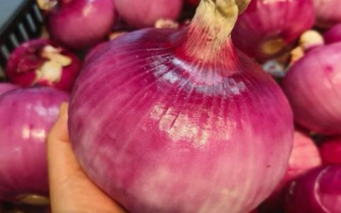 洋葱花椒煮水喝减肥吗？科学真相与正确饮用方法