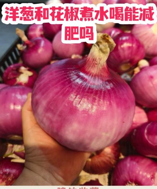 洋葱花椒煮水喝减肥吗？科学真相与正确饮用方法