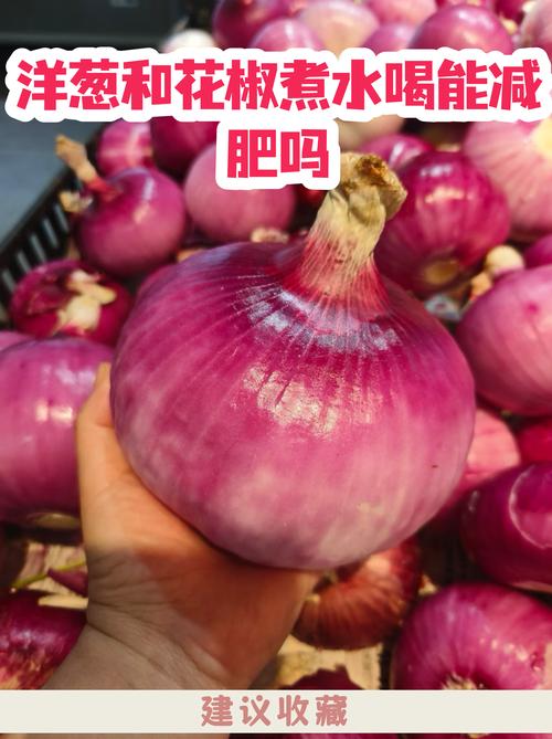 洋葱花椒煮水喝减肥吗？科学真相与正确饮用方法