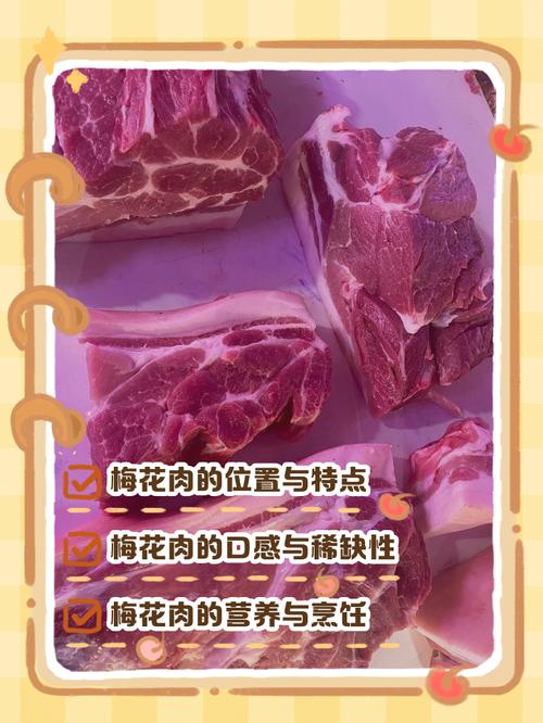 梅花肉是哪个部分?园艺视角下的梅花种植全攻略 结语:从“梅花肉”到“梅花树”