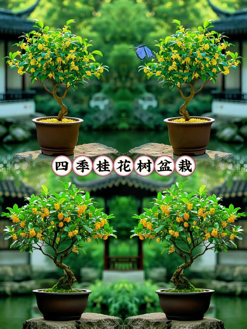 桂花树小苗多少钱一棵?2026年最新价格参考区间与影响因素全解析 常见问题FAQ