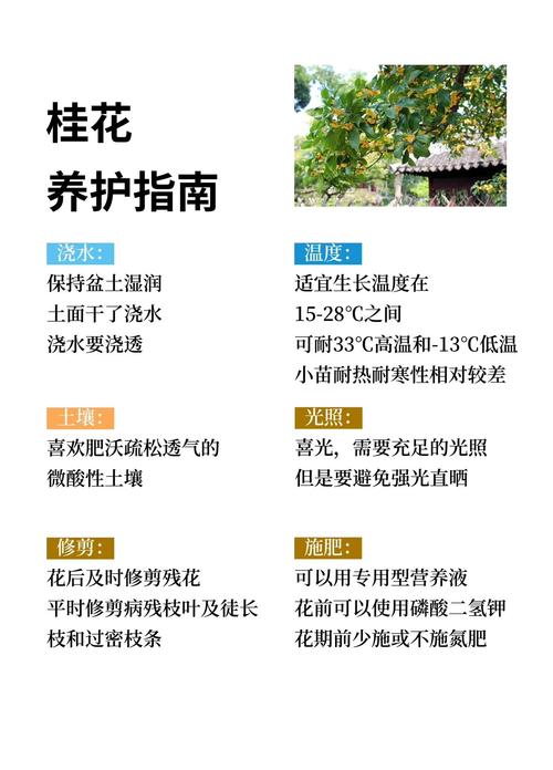 常见问题与对策