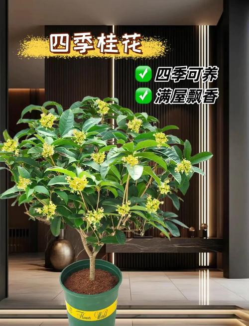 总结