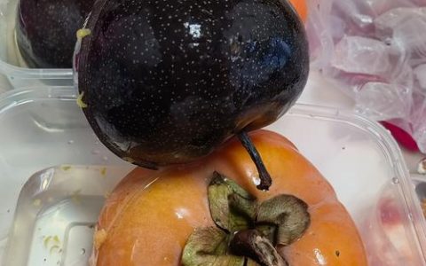 冻柿子是什么品种？三大常见冻食柿子品种对比解析