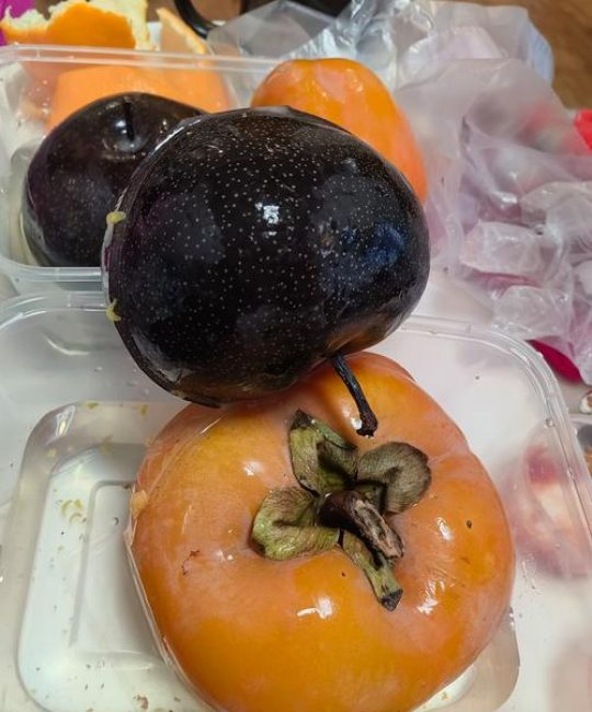 冻柿子是什么品种？三大常见冻食柿子品种对比解析