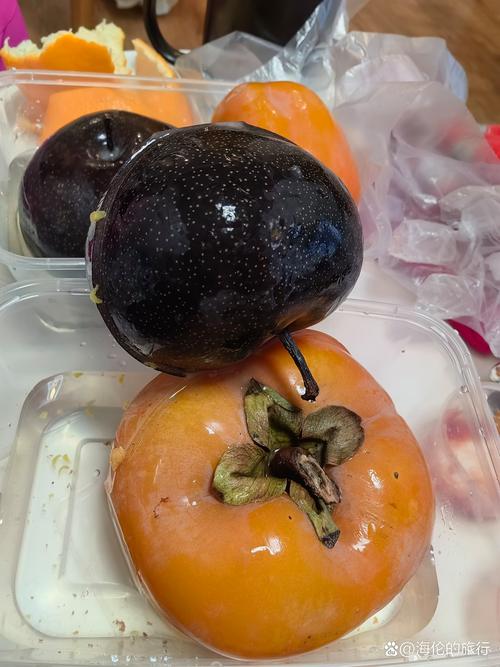 冻柿子是什么品种?三大常见冻食柿子品种对比解析 冻柿子是什么品种?三大常见冻食柿子品种对比解析