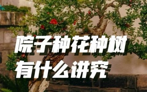 屋后栽柳树有什么说法？传统讲究与现代园林的平衡之道