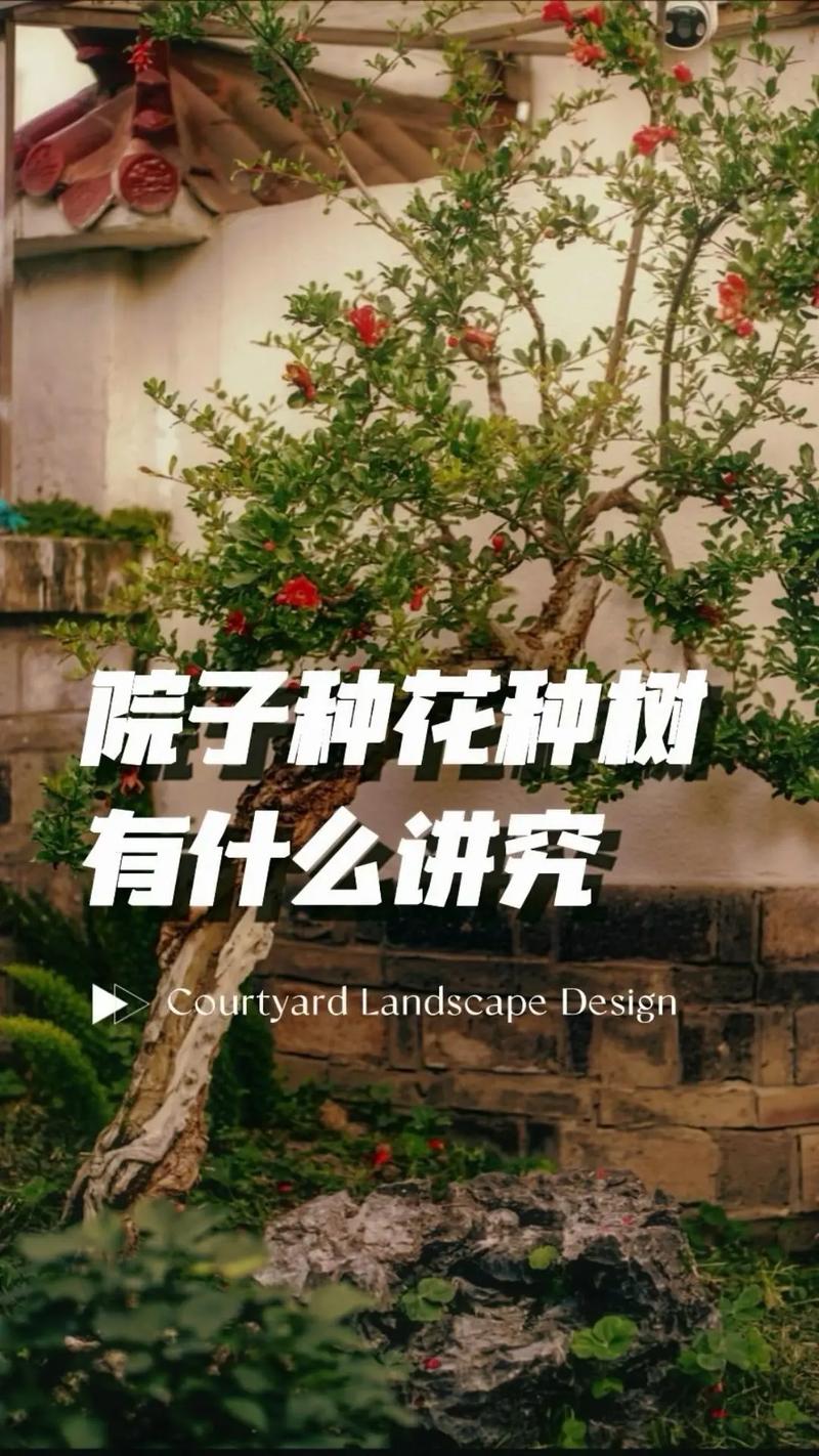 屋后栽柳树有什么说法?传统讲究与现代园林的平衡之道 一、传统民俗与风水说法