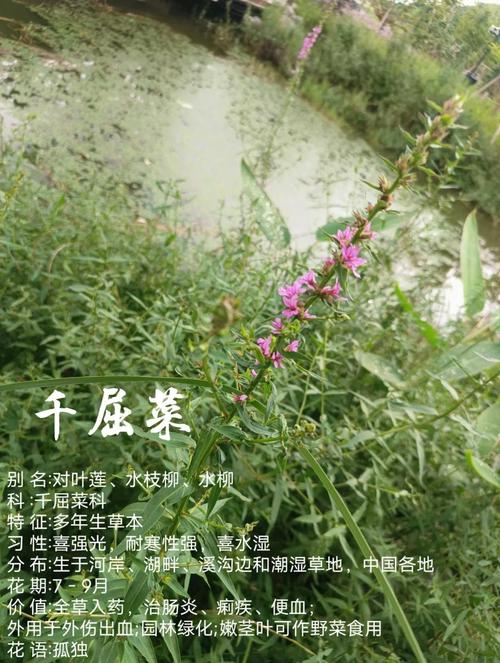 咨询指南：如何获取精准报价？