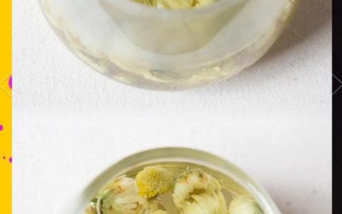 杭白菊：泡茶与观赏两不误的经典盆栽花卉指南