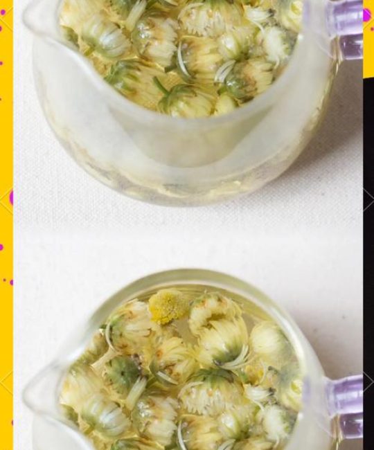杭白菊：泡茶与观赏两不误的经典盆栽花卉指南